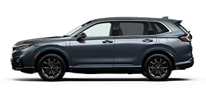 Tony Honda Kona in Kailua-Kona HI