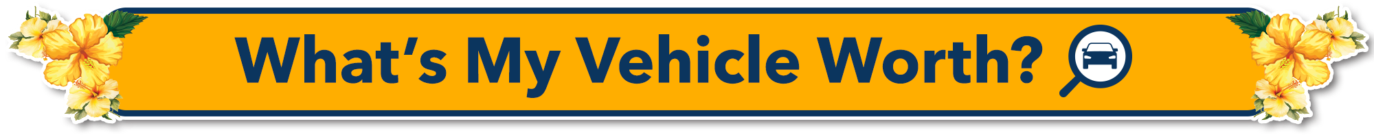Whats My Vehicle Worth